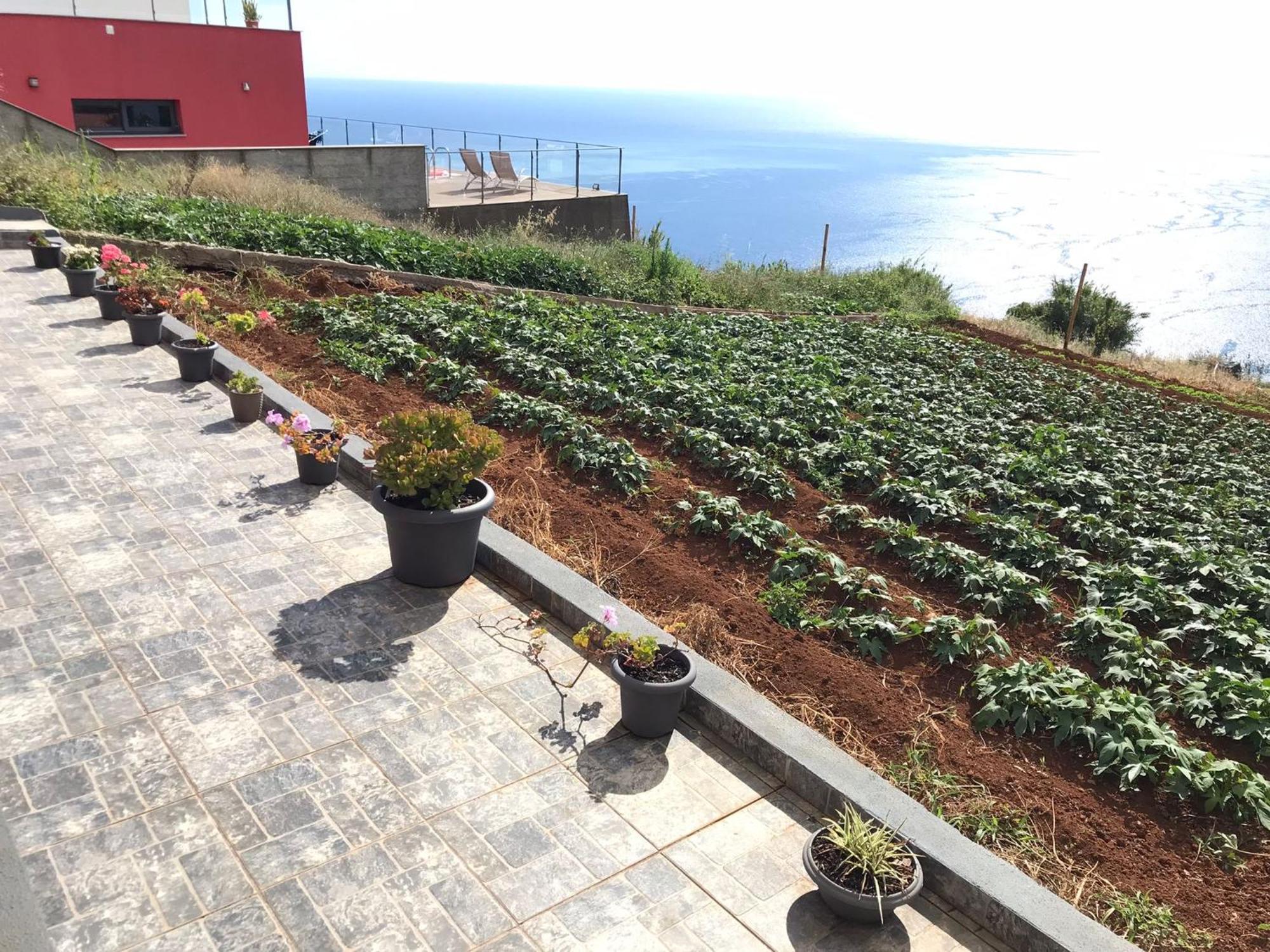 Palheirinho Da Achada Vila Arco da Calheta  Exterior foto